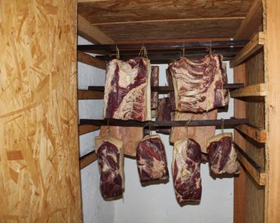 Fleischer Stefan Girsch