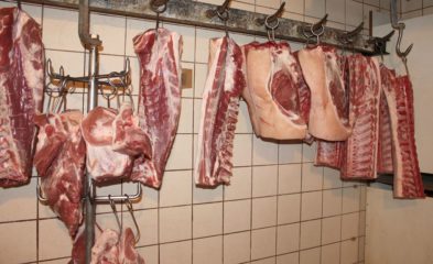 Fleischer Stefan Girsch