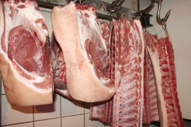 Fleischer Stefan Girsch