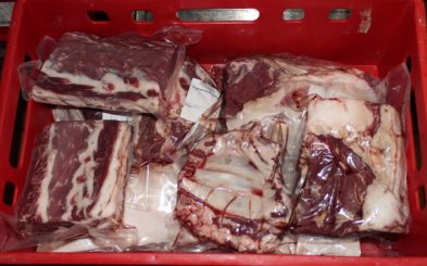 Fleischer Stefan Girsch